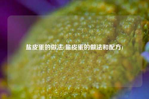 盐皮蛋的做法(盐皮蛋的做法和配方)