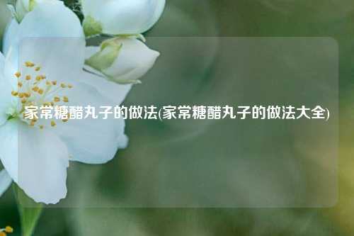 家常糖醋丸子的做法(家常糖醋丸子的做法大全)