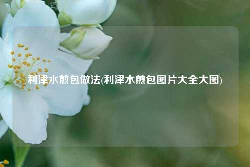 利津水煎包做法(利津水煎包图片大全大图)