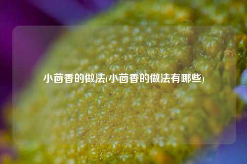 小茴香的做法(小茴香的做法有哪些)