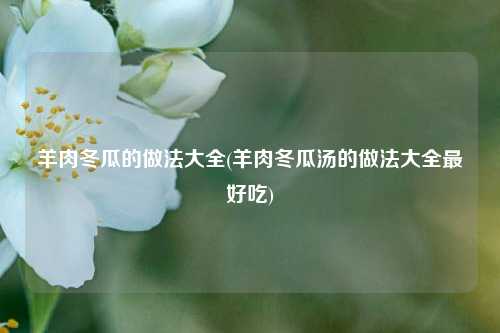 羊肉冬瓜的做法大全(羊肉冬瓜汤的做法大全最好吃)