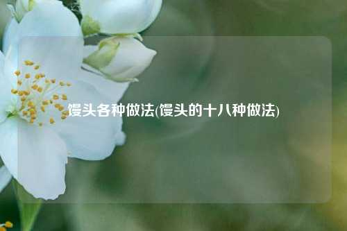 馒头各种做法(馒头的十八种做法)