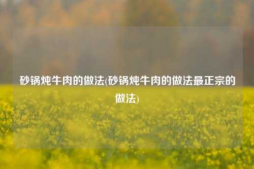 砂锅炖牛肉的做法(砂锅炖牛肉的做法最正宗的做法)