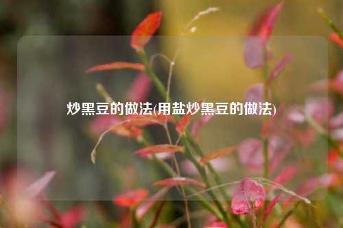 炒黑豆的做法(用盐炒黑豆的做法)