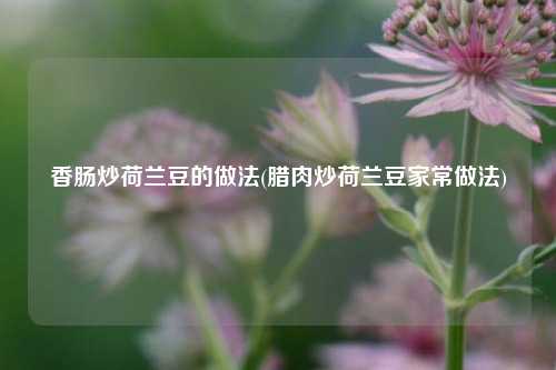 香肠炒荷兰豆的做法(腊肉炒荷兰豆家常做法)