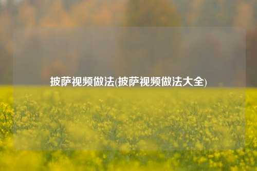 披萨视频做法(披萨视频做法大全)