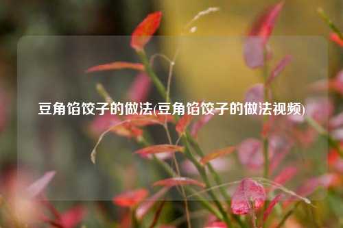 豆角馅饺子的做法(豆角馅饺子的做法视频)