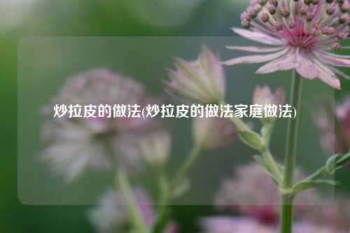 炒拉皮的做法(炒拉皮的做法家庭做法)