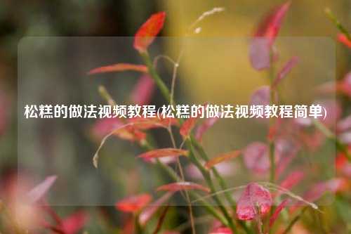 松糕的做法视频教程(松糕的做法视频教程简单)