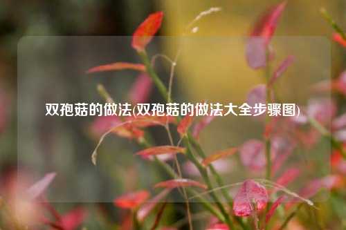 双孢菇的做法(双孢菇的做法大全步骤图)