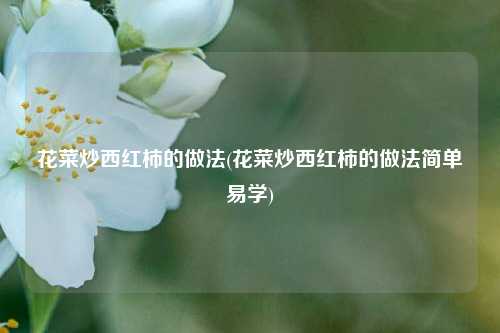 花菜炒西红柿的做法(花菜炒西红柿的做法简单易学)