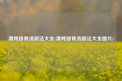 清炖排骨汤做法大全(清炖排骨汤做法大全图片)
