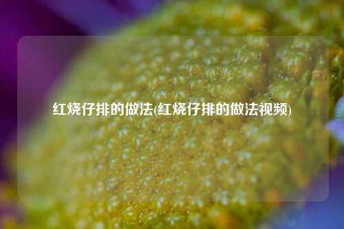 红烧仔排的做法(红烧仔排的做法视频)